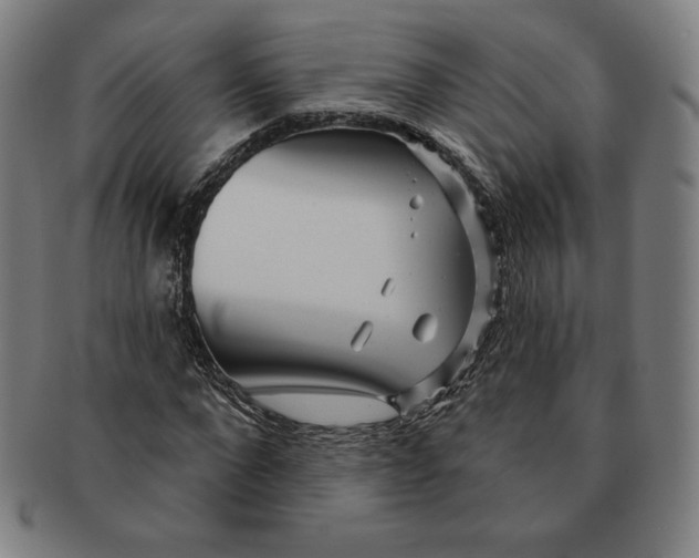 X0000090950872200708301137