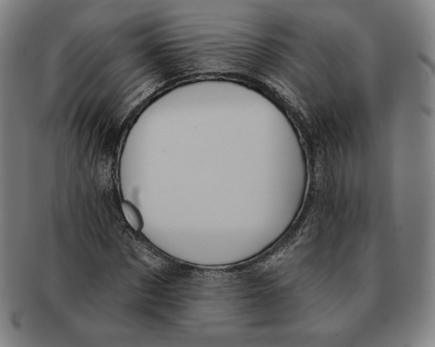 X0000090950873200708301137