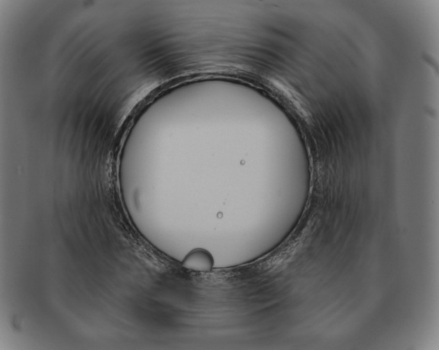 X0000090950875200708301137
