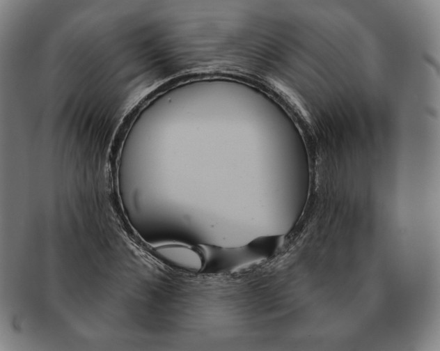 X0000090950876200708301137