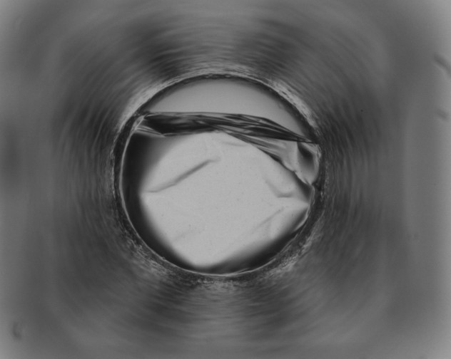 X0000090950877200708301137