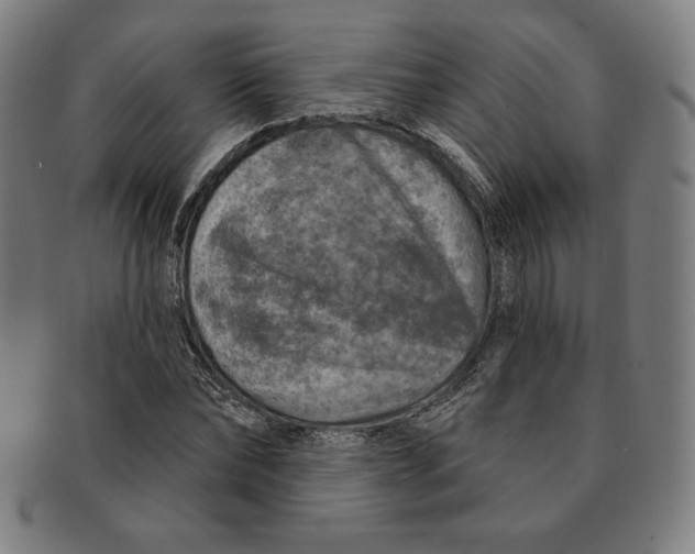 X0000090950878200708301137