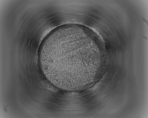 X0000090950879200708301137