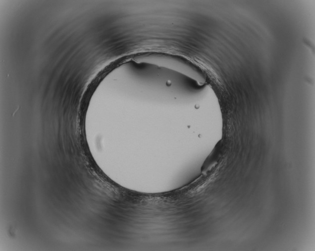 X0000090950880200708301137