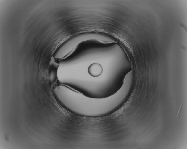 X0000090950881200708301137