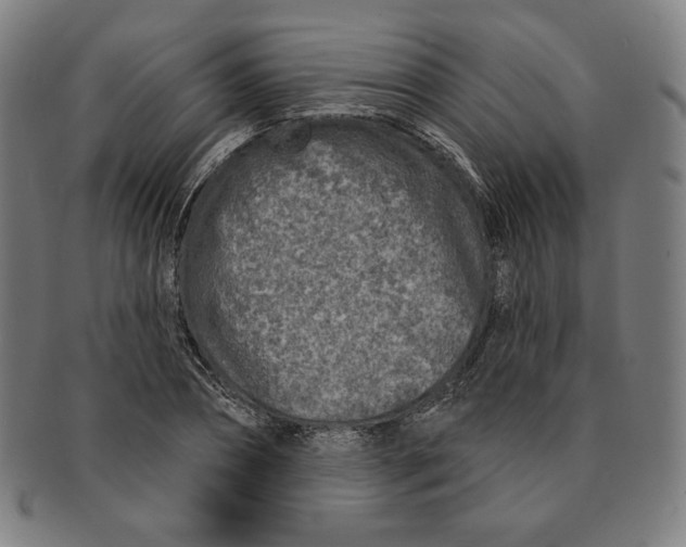 X0000090950882200708301137