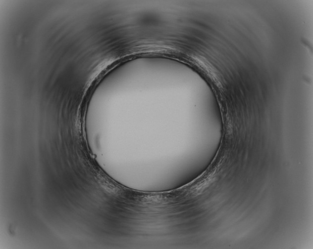 X0000090950883200708301137