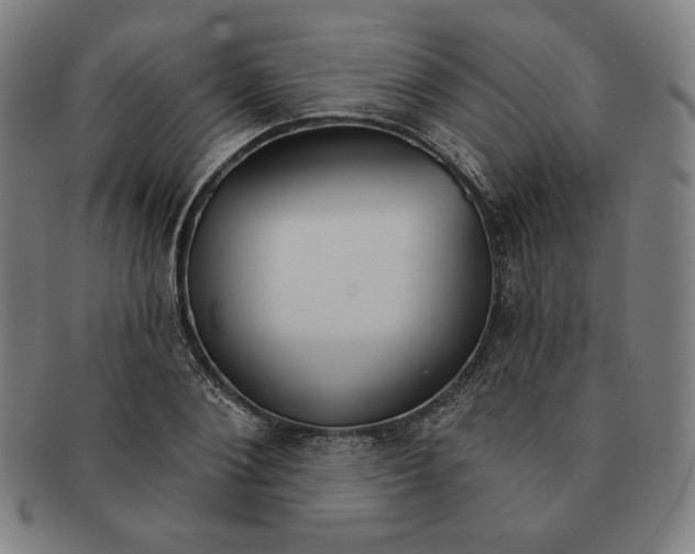 X0000090950884200708301137