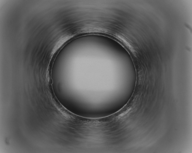 X0000090950885200708301137