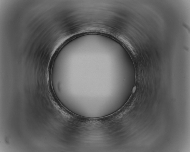 X0000090950888200708301137