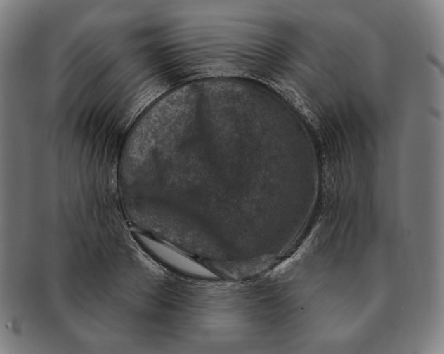X0000090950889200708301137