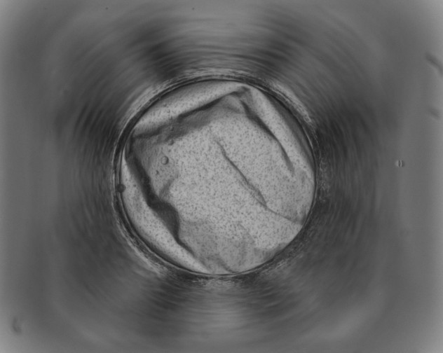 X0000090950890200708301137