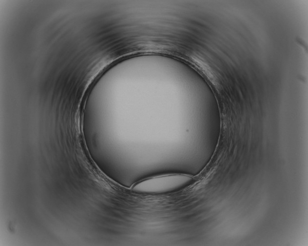 X0000090950891200708301137
