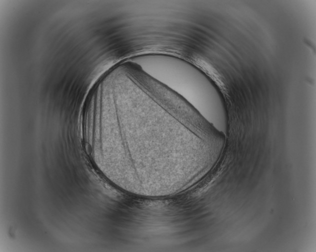 X0000090950892200708301137