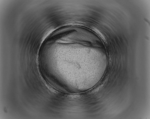 X0000090950893200708301137