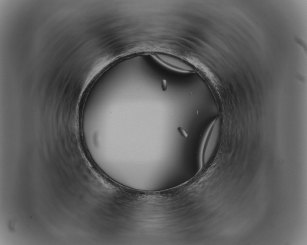 X0000090950894200708301137
