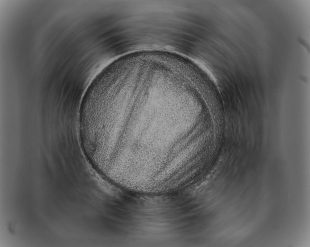 X0000090950895200708301137