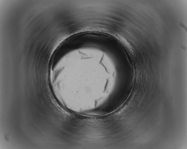 X0000090950896200708301137