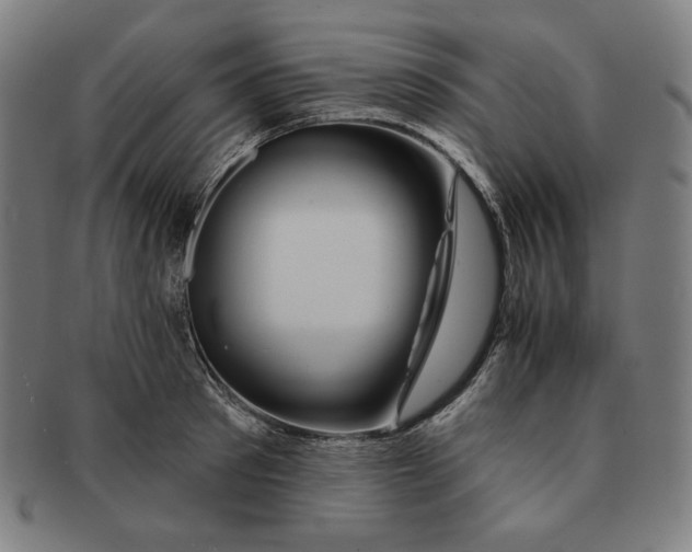 X0000090950897200708301137