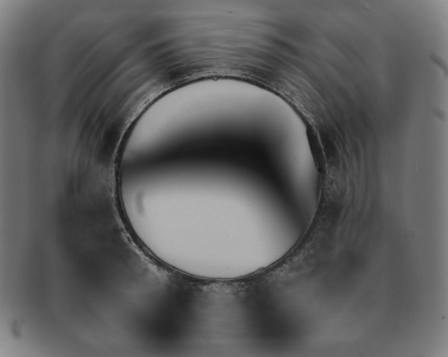 X0000090950898200708301137