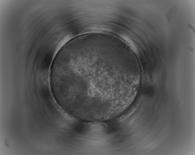 X0000090950899200708301137