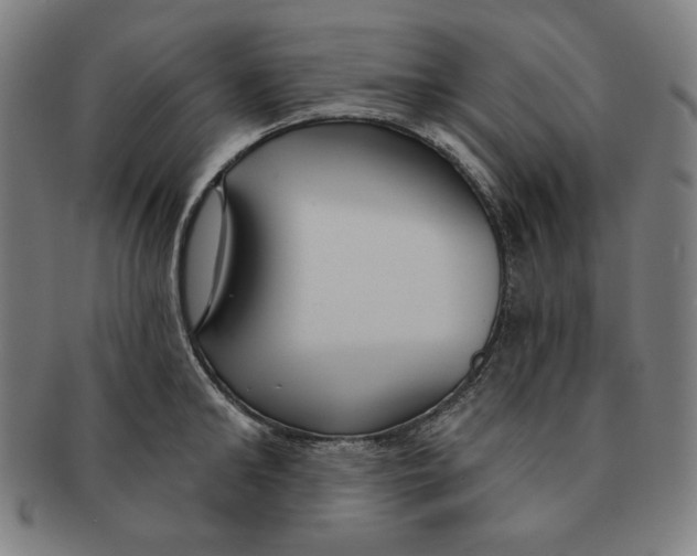 X0000090950902200708301137