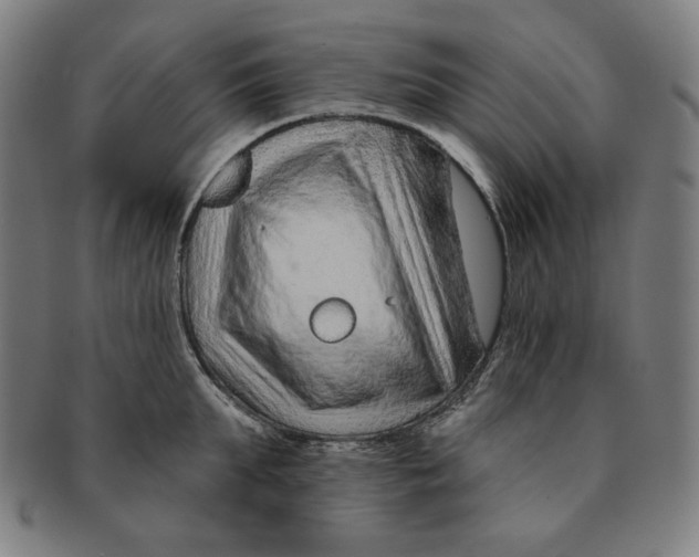 X0000090950903200708301137
