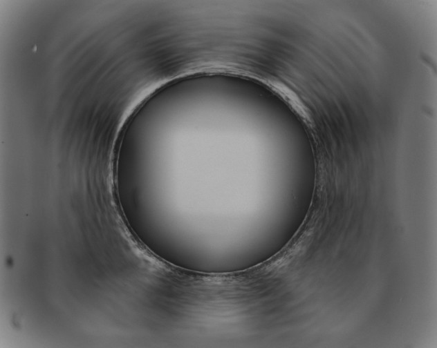 X0000090950904200708301137