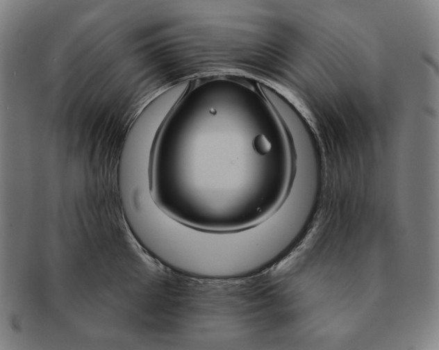 X0000090950905200708301137