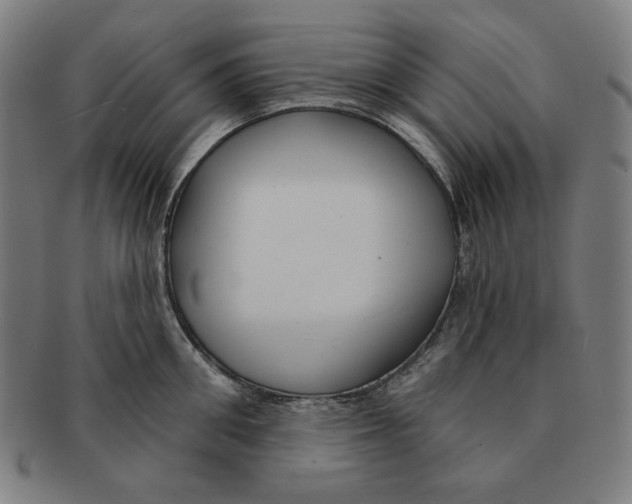 X0000090950906200708301136