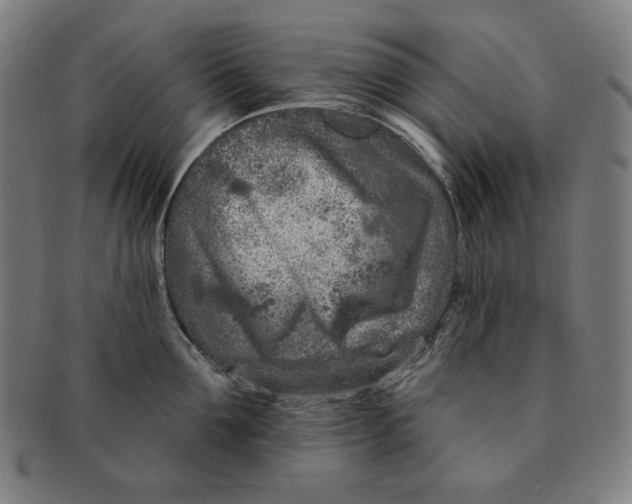 X0000090950907200708301136