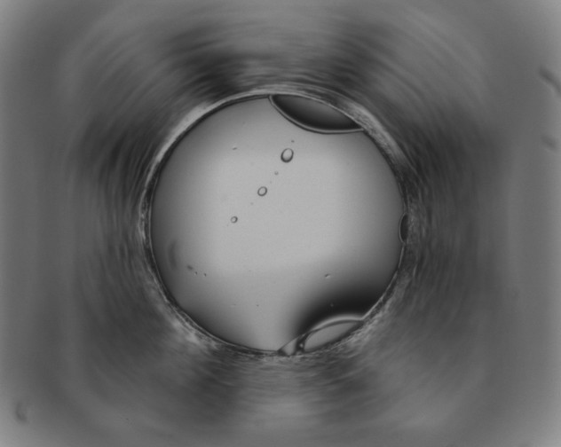X0000090950908200708301136