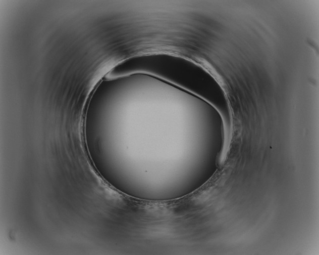 X0000090950909200708301136