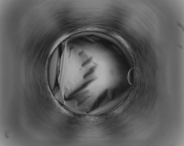X0000090950910200708301136