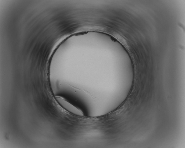 X0000090950912200708301136