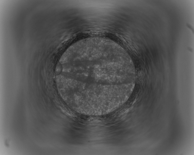X0000090950913200708301136