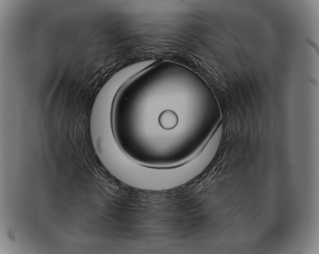 X0000090950914200708301136