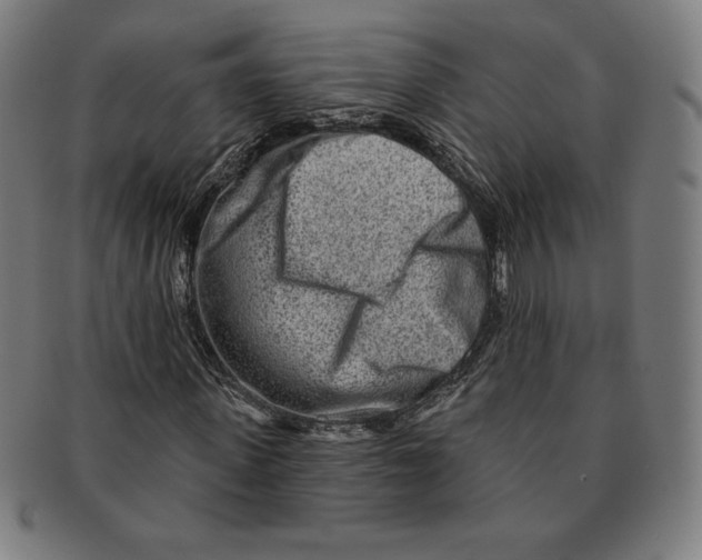 X0000090950915200708301136