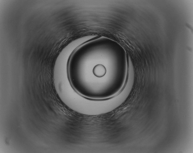 X0000090950916200708301136