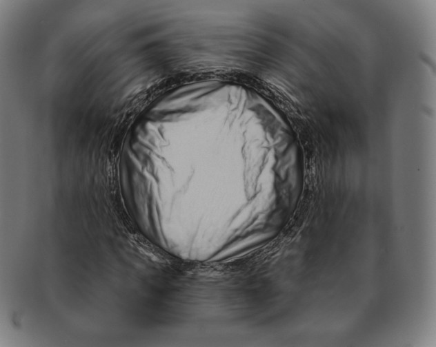 X0000090950917200708301136