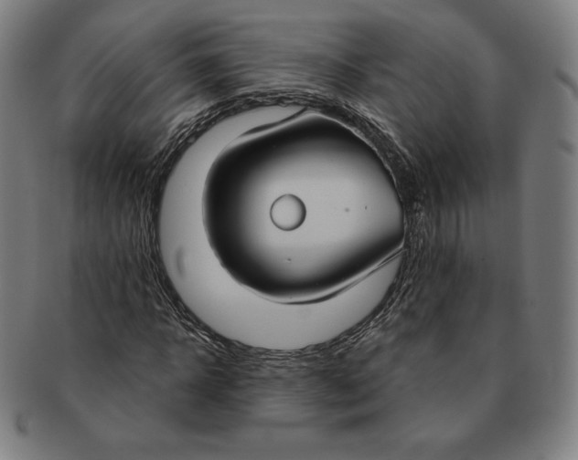 X0000090950918200708301136