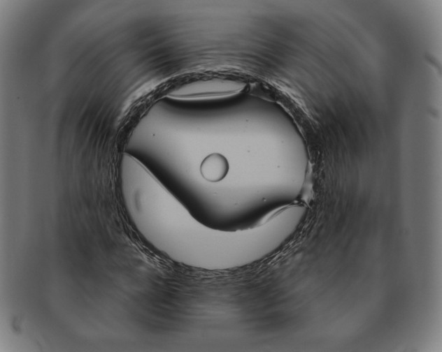 X0000090950920200708301136