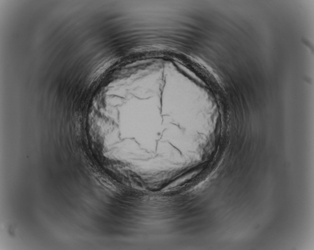 X0000090950921200708301136