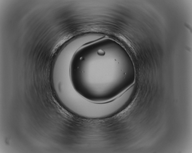 X0000090950922200708301136