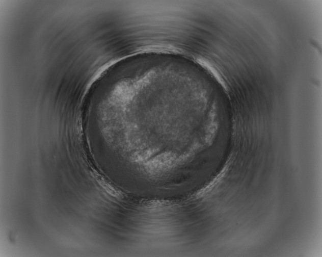 X0000090950923200708301136