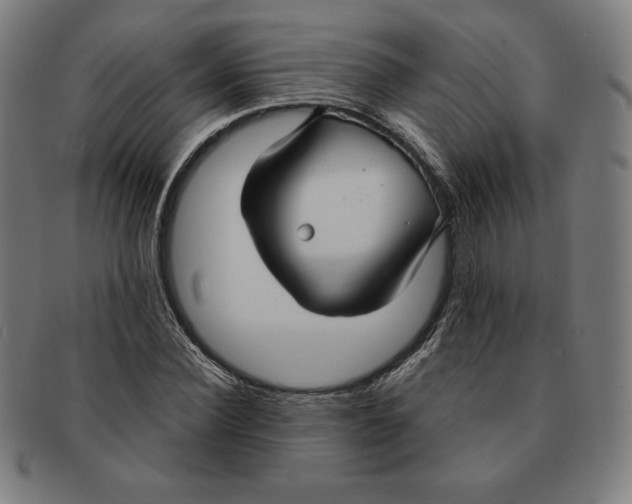 X0000090950924200708301136