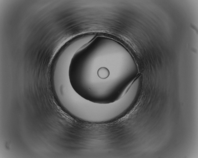 X0000090950926200708301136