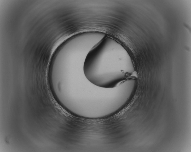 X0000090950928200708301136