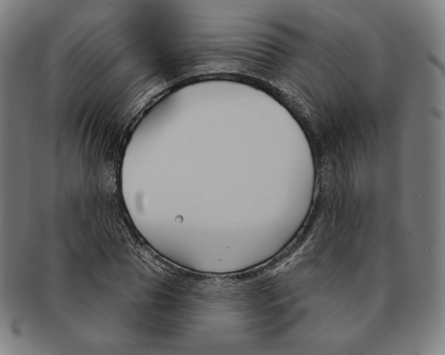 X0000090950929200708301136