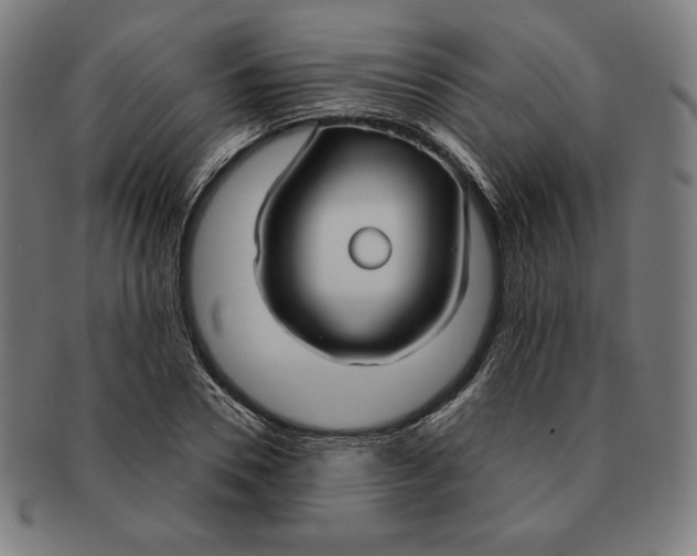 X0000090950930200708301136